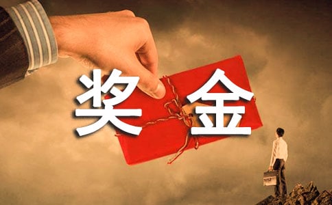 公司獎(jiǎng)金制度(精選8篇)