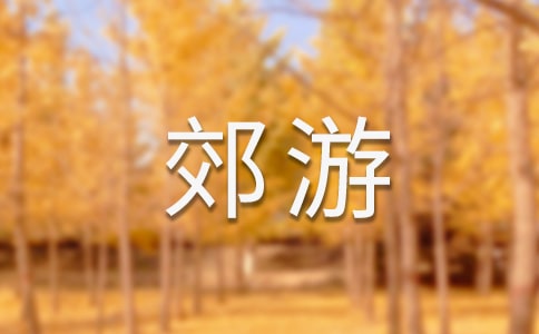 郊游作文500字