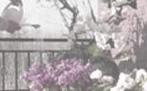 ��������100�� �ҌW(xu��)���˝���