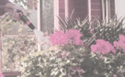 �P(gu��n)�ڝ�������