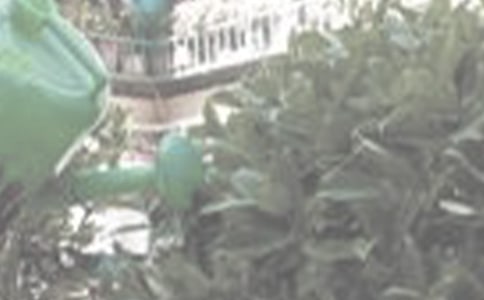 ��(sh��)�õĝ�������400��