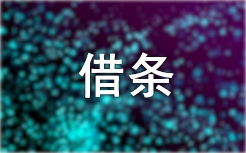 關于借條格式4篇