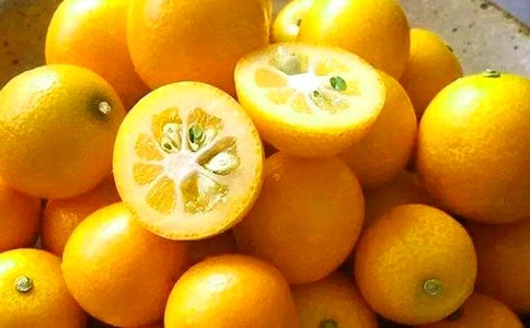 �Ґ۹��l(xi��ng)�Ľ��������