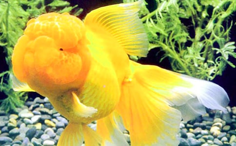 ���~�^����ӛ