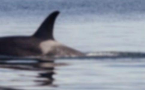 С�W(xu��)���L�~����������