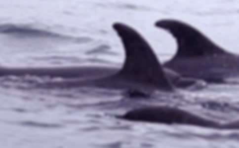 �L�~(y��)���U(xi��n)����