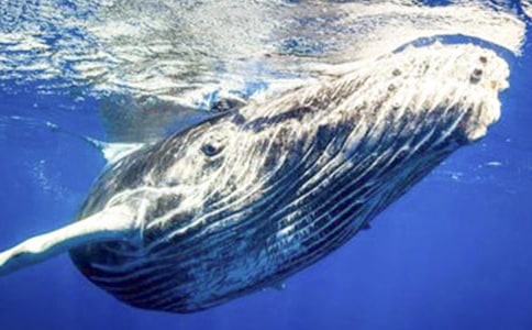 �茑�L�~������