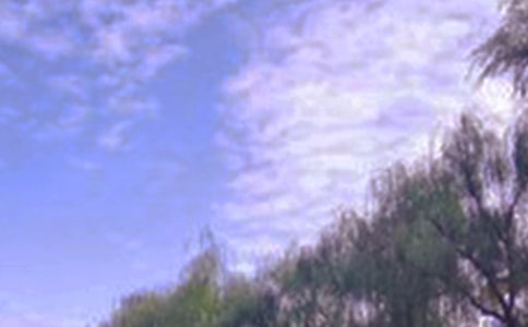 (合集)描寫景色作文5篇