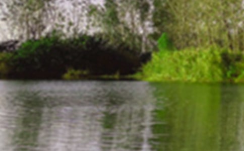 美麗的景色作文