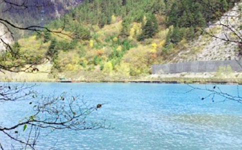 [�؂�]��կ������