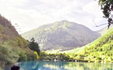 九寨溝作文集合15篇