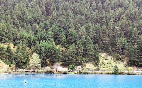 �Ĵ���կ�ό�(d��o)���~