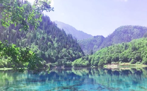 童話世界九寨溝作文400字