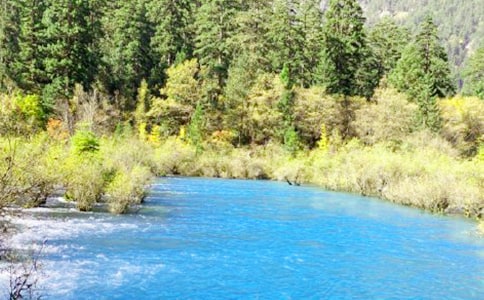 (經(jīng)典)九寨溝導(dǎo)游詞