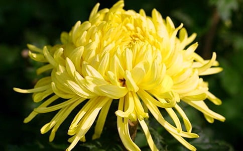 ���x���ջ���������ƪ