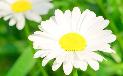 �Ґۼ��l(xi��ng)���خa(ch��n)-�Ѿջ�����