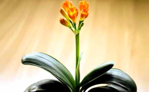 �^������m����ӛ