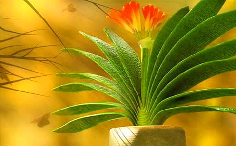 �����m����