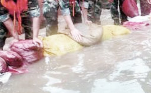 �¾�����Ӣ������800��