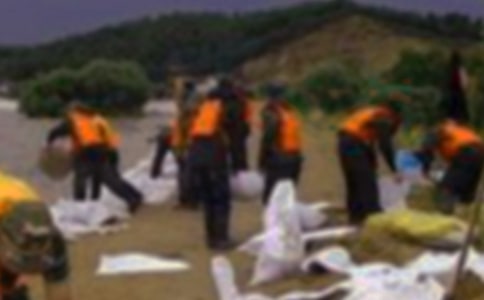 單位抗洪防汛方案(通用5篇)