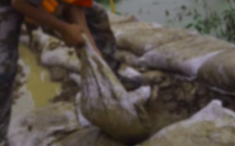 我是小“抗洪英雄”作文