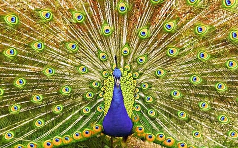 ��ȸ����(d��o)���~