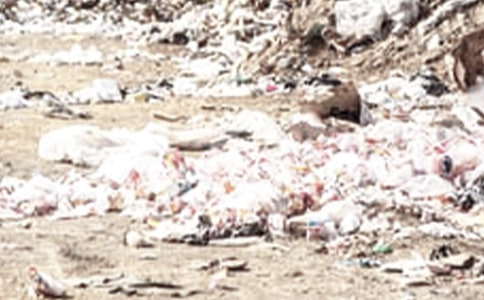 �P(gu��n)���������\(y��n)�����ƶ�