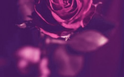 СС�h�� ����ɫ�ʴ�׃���� -�Y��