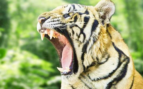 С؈С�����ϻ�����ë��