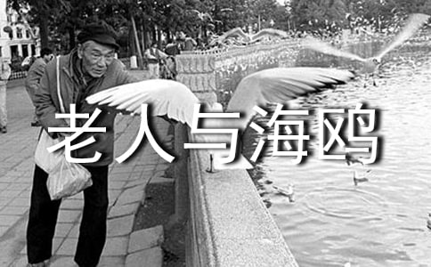 �����c���t�m(x��)��400������