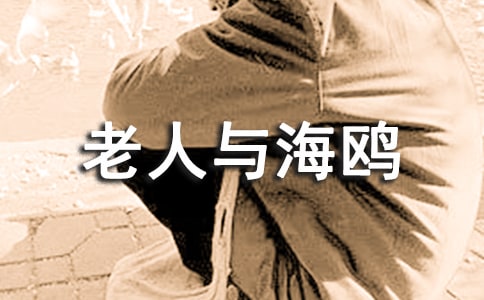 《老人與海鷗》的六年級語文教案