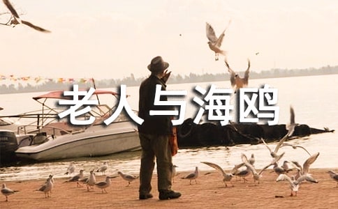 《老人與海鷗》教學(xué)設(shè)計