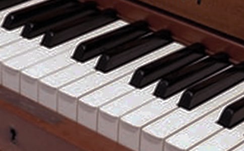 神奇的樂器作文300字