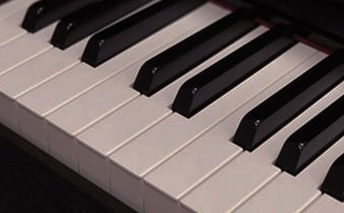 �����Ҷ��������