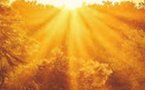 把黎明的美麗帶給花季的我作文