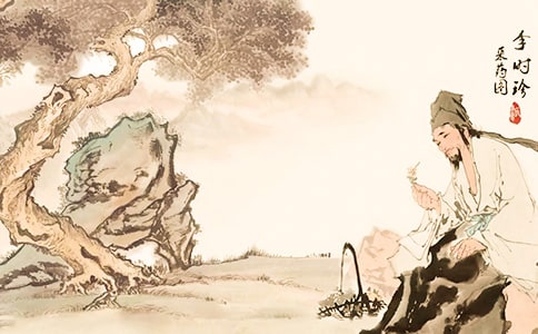 《李時(shí)珍》教案十篇