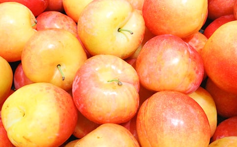 �P(gu��n)��С�����ӽ̰�����