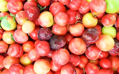 關于李子的優(yōu)美句子