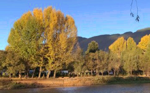 關(guān)于云南麗江古城的導(dǎo)游詞