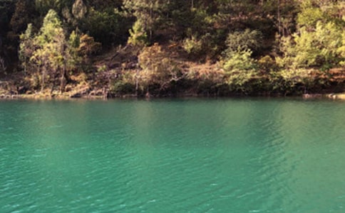 �����ų�����