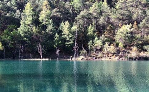 麗江古城導(dǎo)游詞