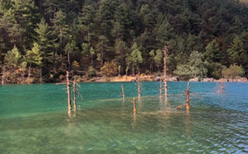 �����ųǌ�(d��o)���~(15ƪ)