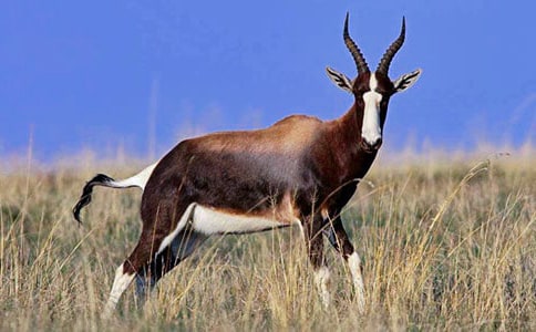 �m(x��)����������Ĺ�ݡ�