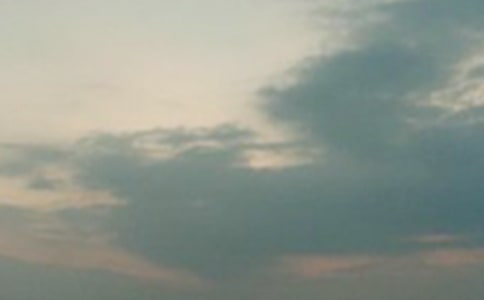 �賿����700������