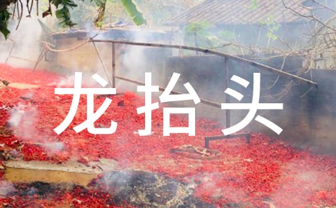 二月二龍?zhí)ь^寄語