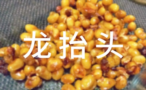 什么是龍?zhí)ь^