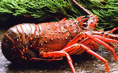 ���r����500��