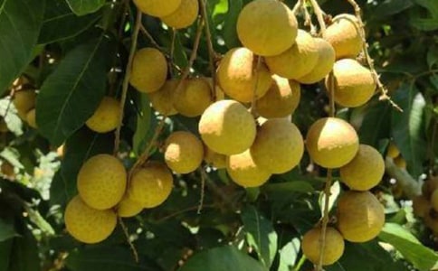 �Ґۼ��l(xi��ng)����������400��