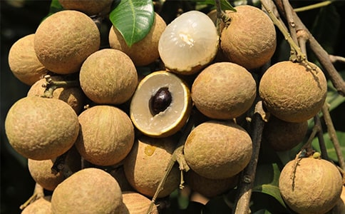 �P(gu��n)���Ґ۹��l(xi��ng)����������