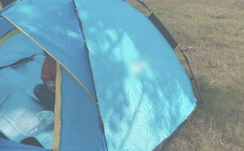 實用的露營作文集合7篇